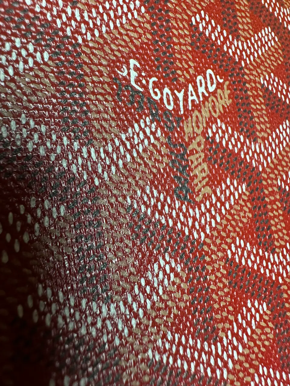 Goyard Belvedere MM Uzi-Red, detail view 11