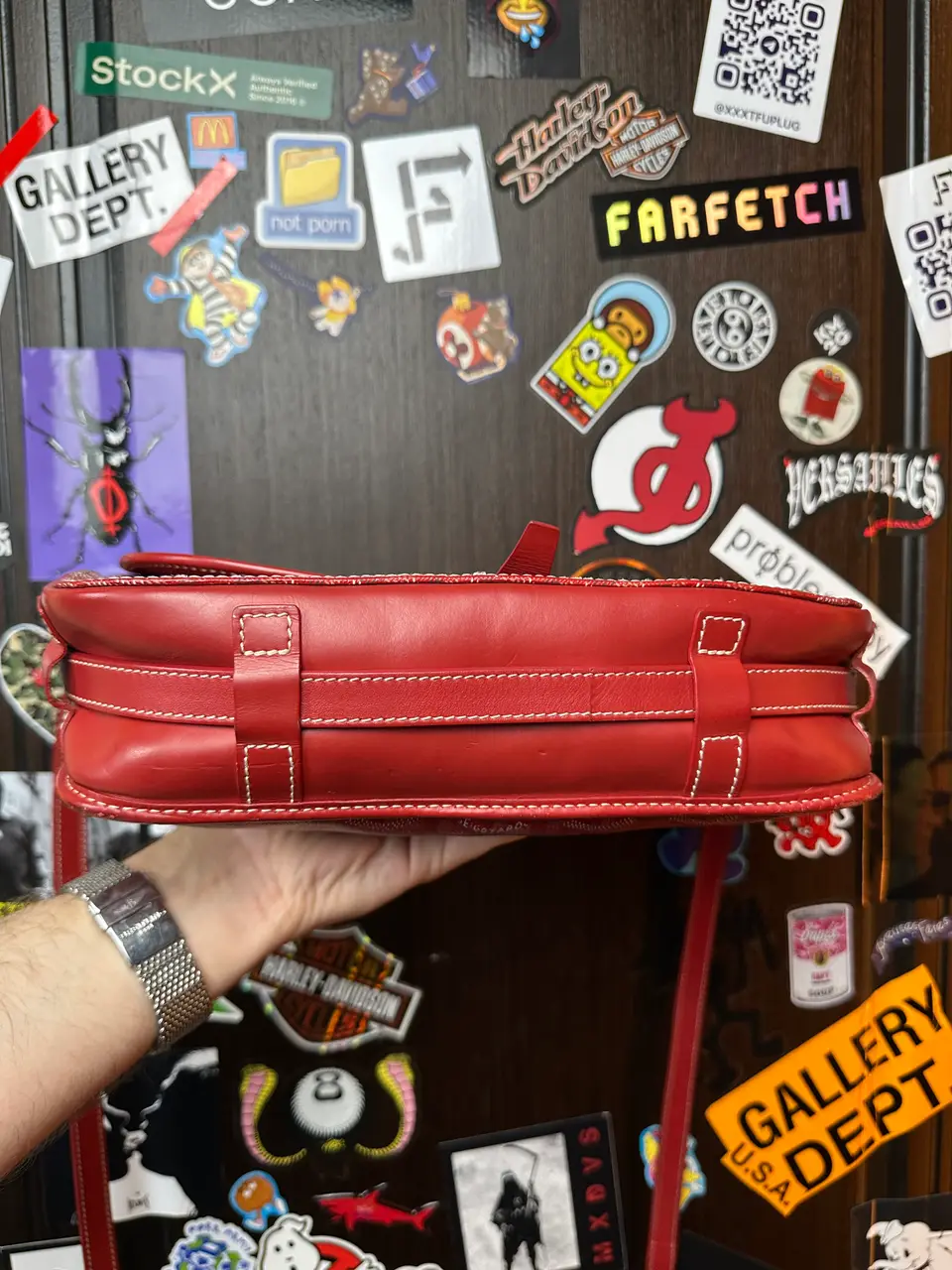 Goyard Belvedere MM Uzi-Red, detail view 13